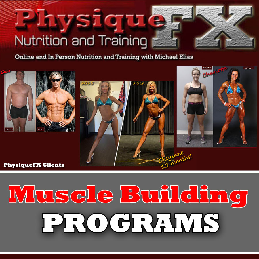 muscle-building-programs.jpg